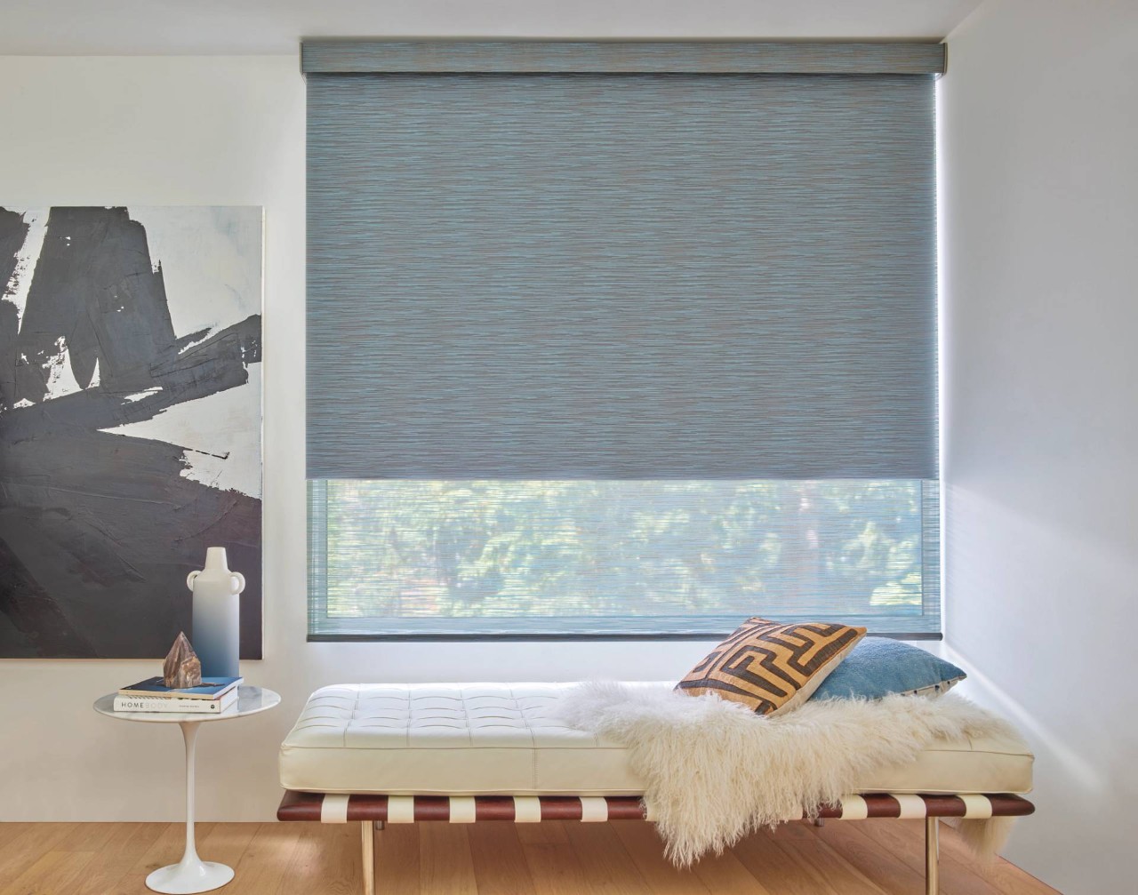 Hunter Douglas Designer Roller Shades Near South Jordan, Utah (UT)